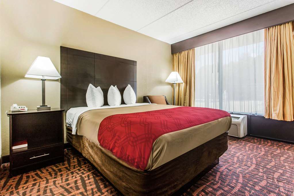 Quality Inn Asheville Airport Fletcher Room photo